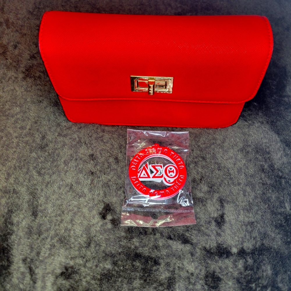 Handbag & DST earrings